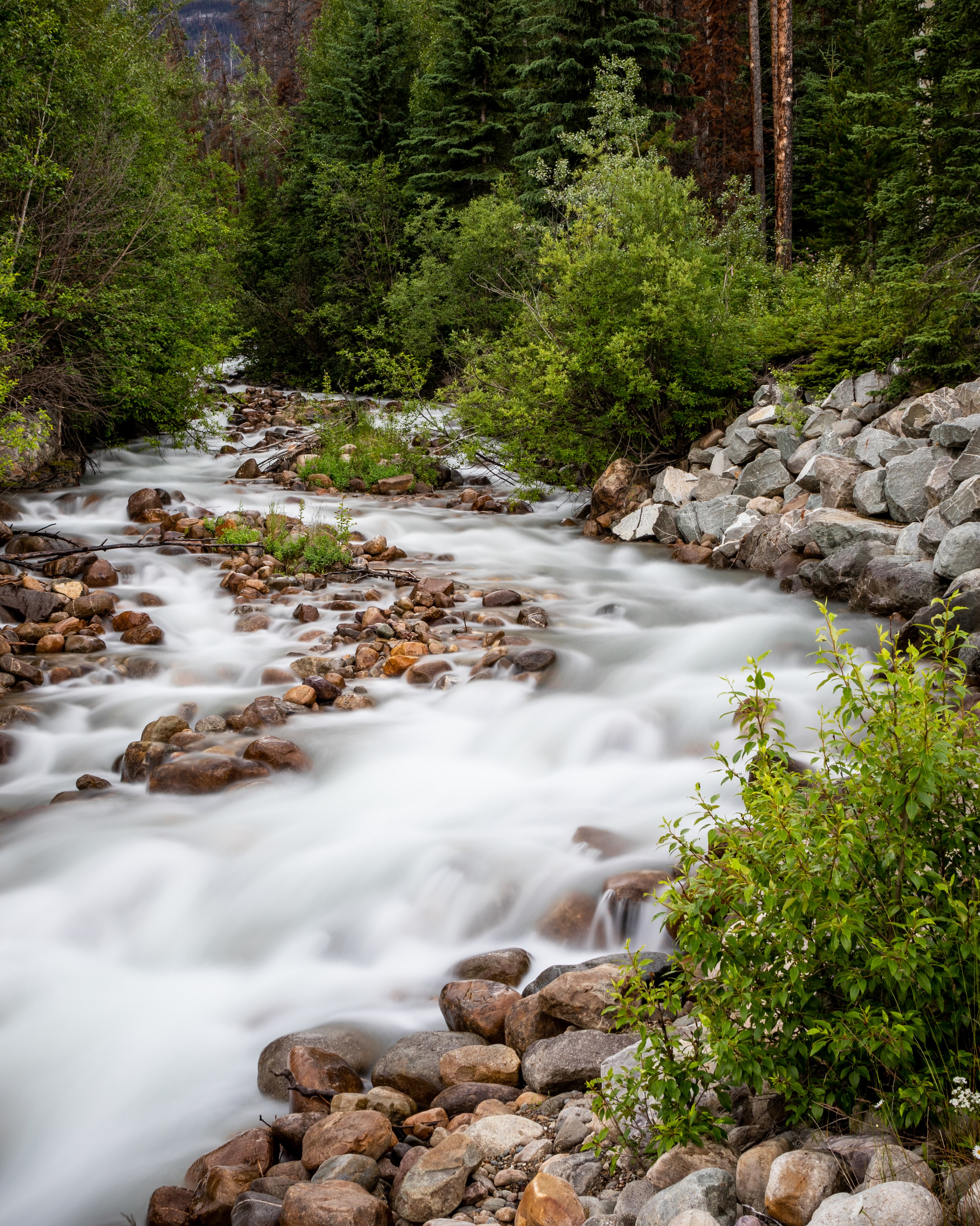 Flow of nature